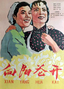 成人短视频